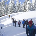 snow-winter-travel-recreation-equipment-usa-815584-pxhere.com